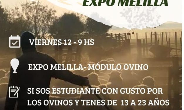 Competencia de destrezas ovinas