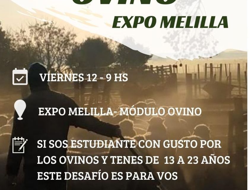 Competencia de destrezas ovinas