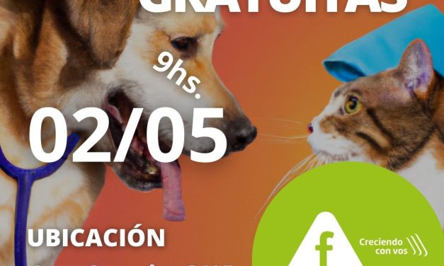 Castraciones en Municipio F: ¿cuándo y dónde se harán?