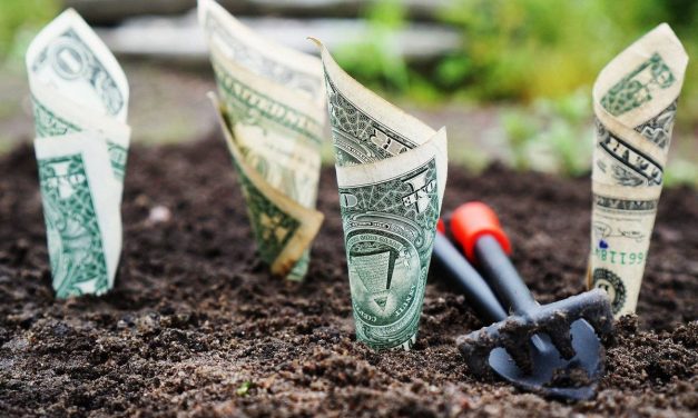 Economista uruguayo con apoyo de inversores locales y extranjeros busca empresas en el país para desarrollar un nuevo modelo de inversión