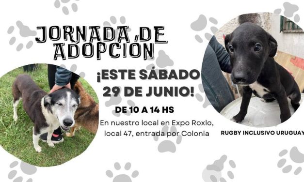 Jornada de Adopción: ¿Cuándo y dónde?