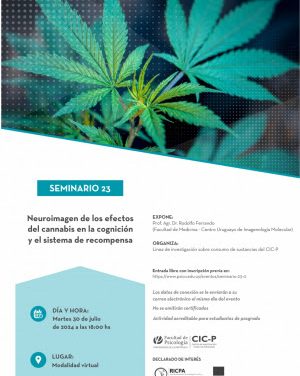Neuroimagen de los efectos del cannabis en la cognición y el sistema de recompensa