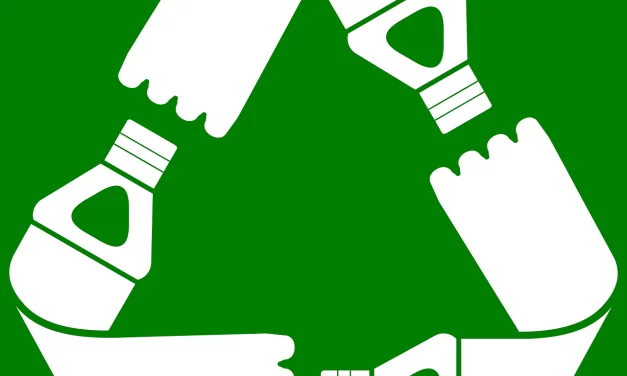 Taller Regional sobre el Diseño de Instalaciones de Irradiación para el Reciclado de Plástico y su Viabilidad Económica