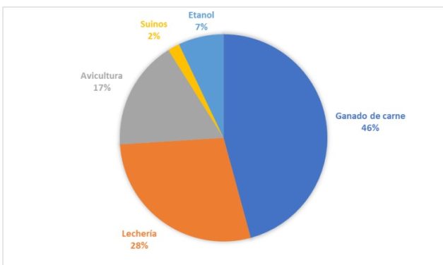 Análisis de la oferta y demanda de productos concentrados para la alimentación animal