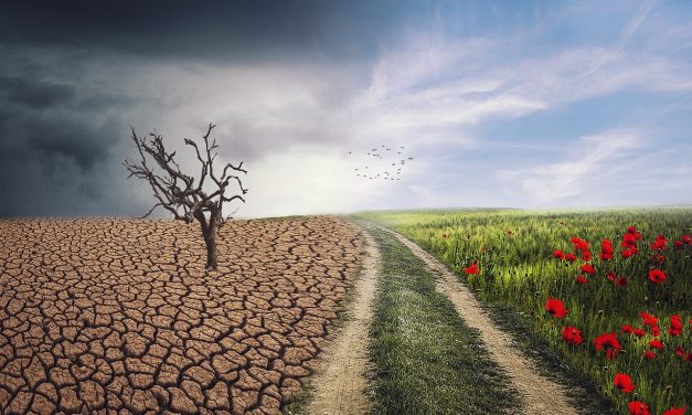 Conferencia “Construcción de resiliencia y preparación para el cambio climático en granjas agrícolas y centros educativos”