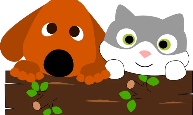 Atención Veterinaria Gratuita en Municipio F: ¿cuáles fueron los resultados en 2024?