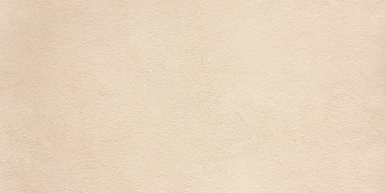 Seminario Conservación de piezas escultóricas originales de yeso