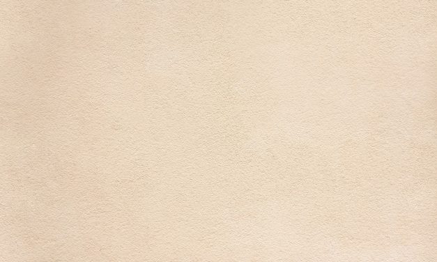 Seminario Conservación de piezas escultóricas originales de yeso