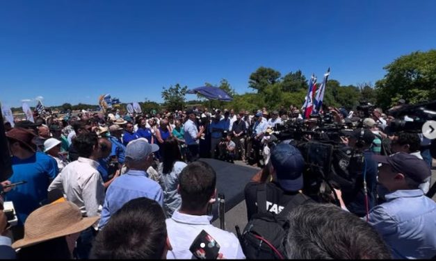 «Gracias Luis»: ¿de qué va la movida?