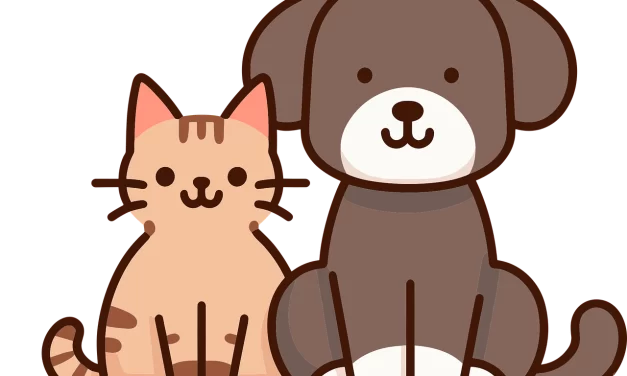 Jornada de Castración Gratuita: ¿cuándo y dónde?