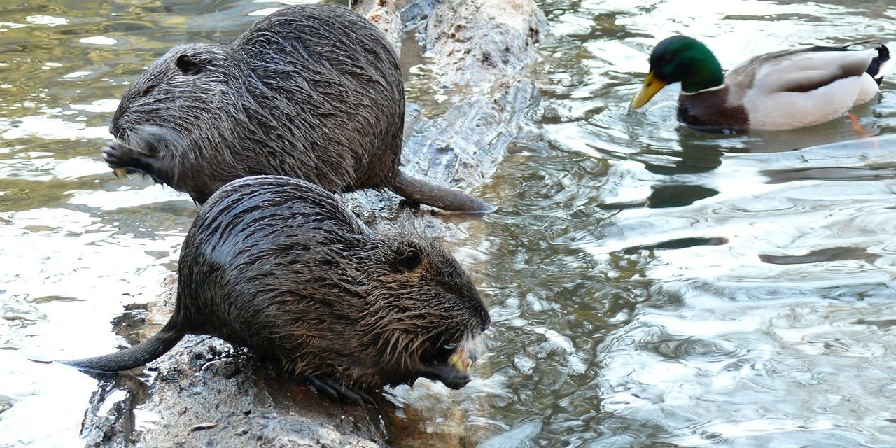 Inauguran espacio ecoeducativo: ¿dónde y cuándo será?