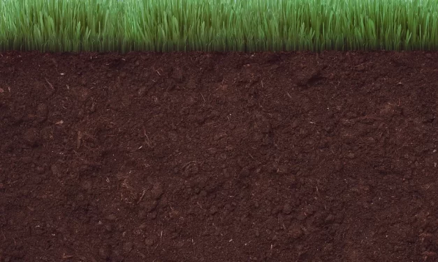 Charla: Buenas prácticas agrícolas para el cuidado del suelo