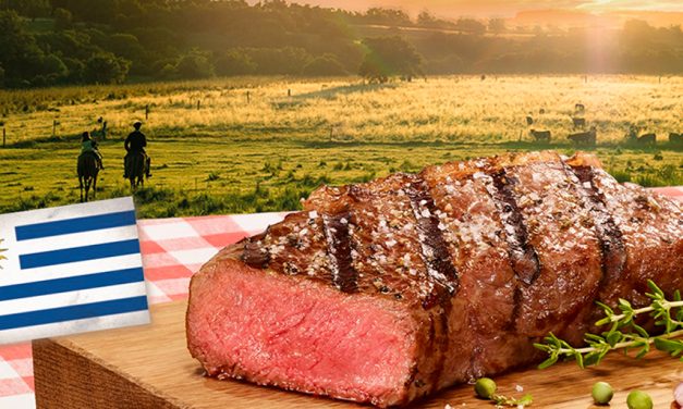 ¿Cuáles fueron los nuevos mercados que accedió el INAC en el período 2020 – 2025?