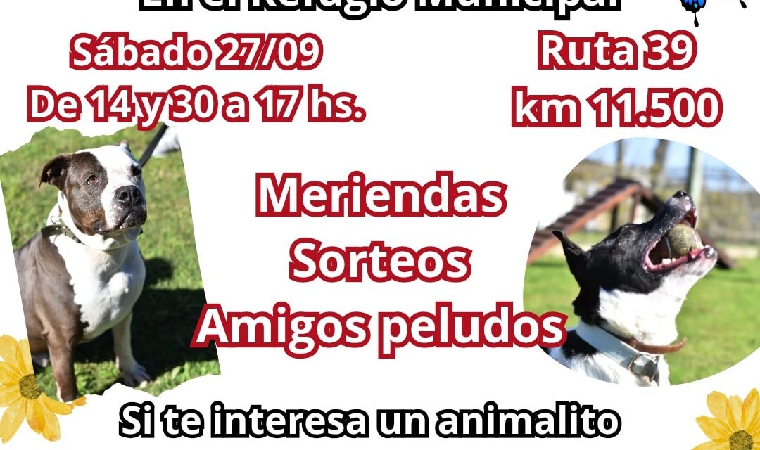 Maldonado: Cuarta jornada de adopciones en el Refugio Departamental