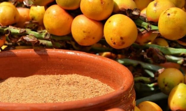 Mesa redonda: HACIA LA REGLAMENTACIÓN DE LA LEY NACIONAL DEL BUTIÁ: CONSTRUYENDO COLECTIVAMENTE