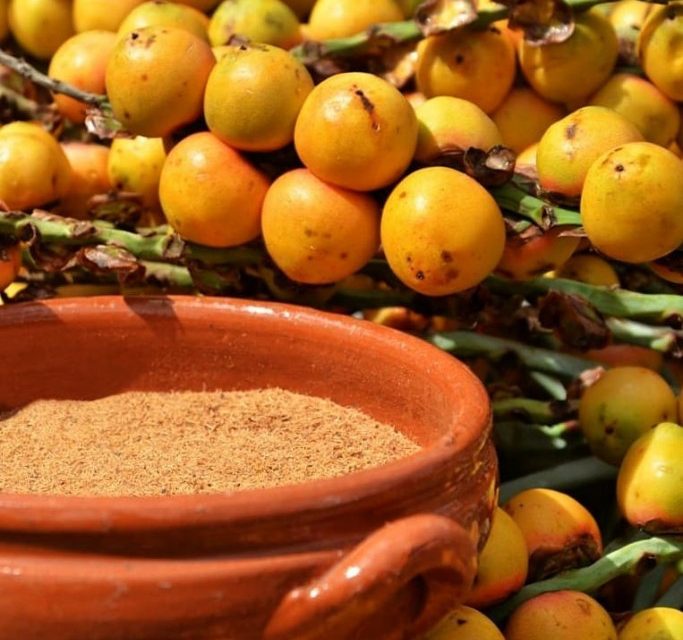 Mesa redonda: HACIA LA REGLAMENTACIÓN DE LA LEY NACIONAL DEL BUTIÁ: CONSTRUYENDO COLECTIVAMENTE