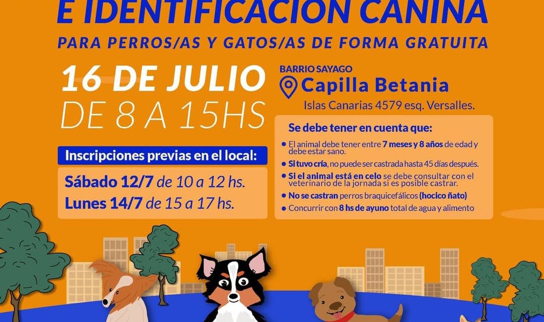 Castraciones gratuitas para perros y gatos en Sayago