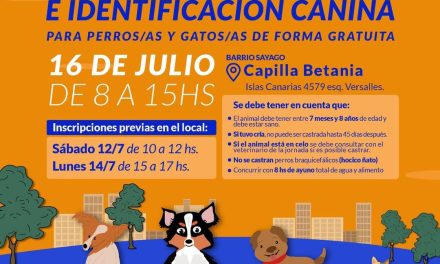 Castraciones gratuitas para perros y gatos en Sayago
