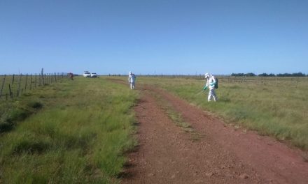 Baltasar Brum dice NO al Capin Annoni: ¿de qué va la movida?