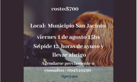 Campaña de castraciones económicas