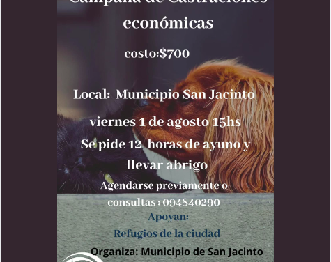 Campaña de castraciones económicas