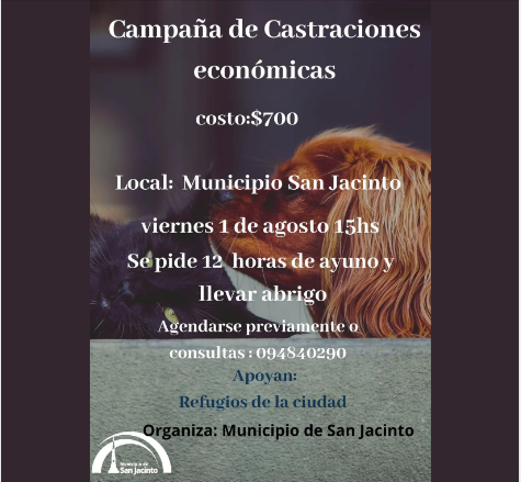 Campaña de castraciones económicas