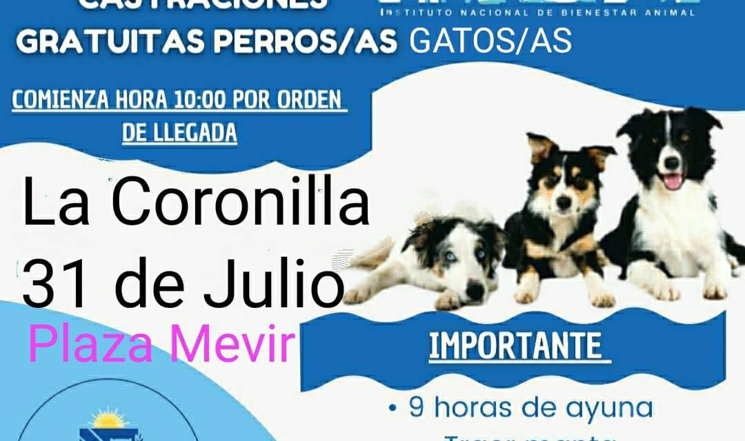 Castraciones en La Coronilla este Jueves 31
