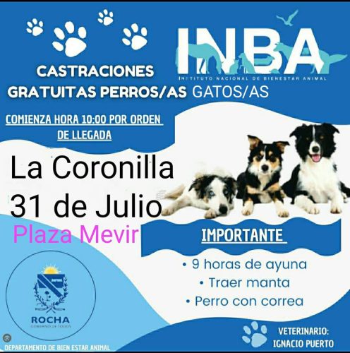 Castraciones La Coronilla