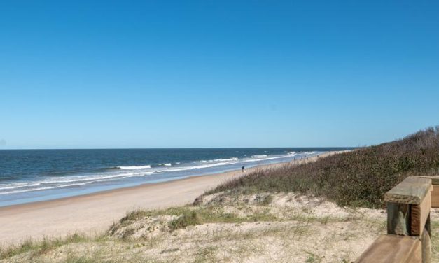 Terrenos en Ciudad de la Costa: oportunidades de inversión