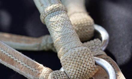 Declaran de interés nacional la realización de la 6ta. Edición de País de Guasqueros