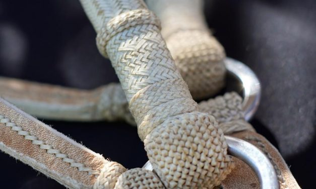 Declaran de interés nacional la realización de la 6ta. Edición de País de Guasqueros