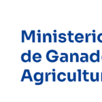 MGAP: Se extiende el plazo de inscripción para el programa de trayectorias juveniles digitales dirigido a jóvenes rurales