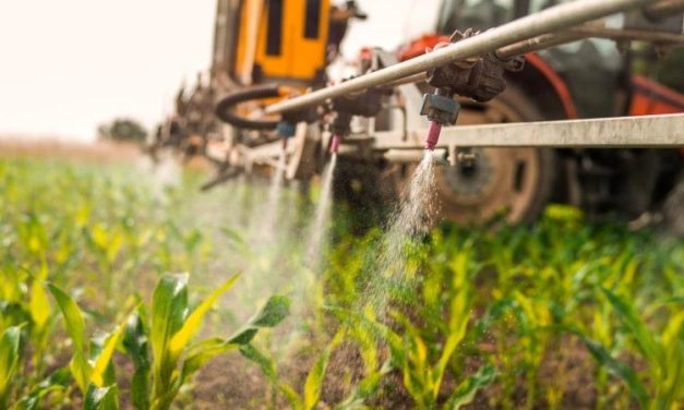 Curso de «Uso y Manejo Seguro de Productos Fitosanitarios» para obtención del Carnet Aplicador Profesional Terrestre