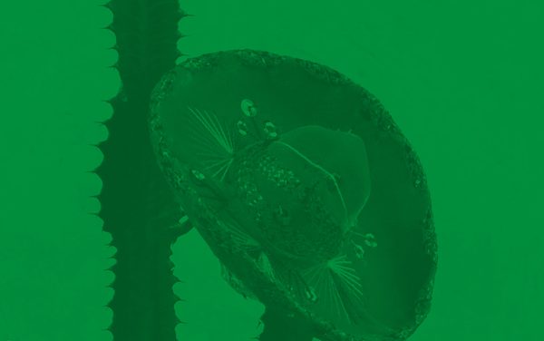 UCU: La economía y cultura de México. Relaciones comerciales con Uruguay y oportunidades de la relación bilateral