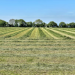 Terrenos en venta en Montevideo: oportunidades para construir tu proyecto