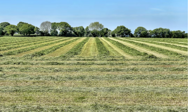 Terrenos en venta en Montevideo: oportunidades para construir tu proyecto
