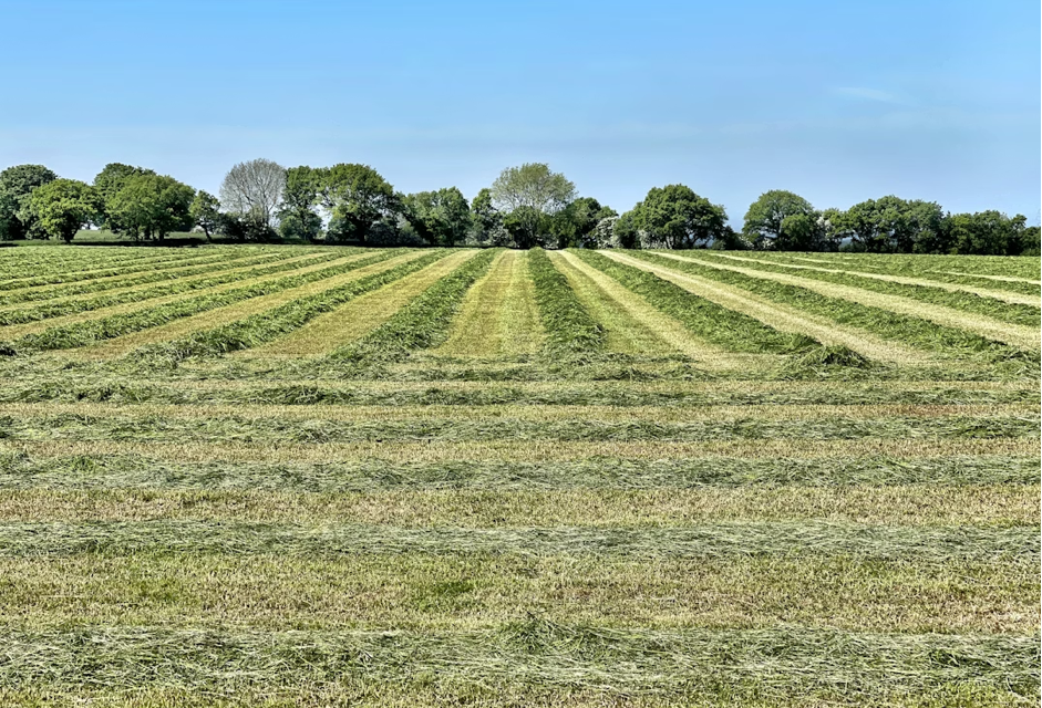 Terrenos en venta en Montevideo: oportunidades para construir tu proyecto
