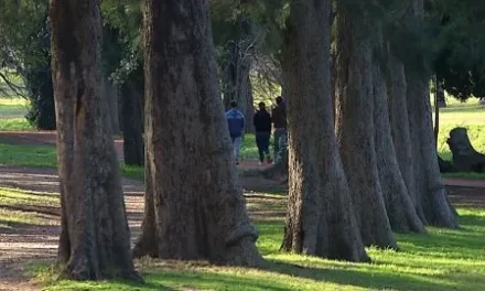 Propuestas ante preocupación de los montevideanos para disfrutar del paseo del Prado