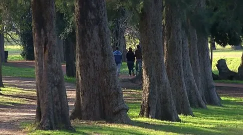 Propuestas ante preocupación de los montevideanos para disfrutar del paseo del Prado