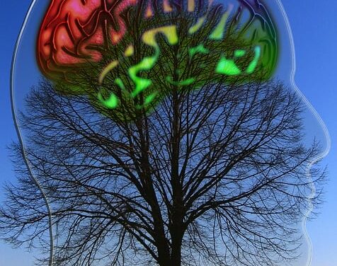 Jornada Homenaje al Psicoanalista Marcelo Viñar