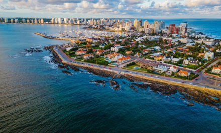 Guía completa sobre inmobiliarias en Punta del Este