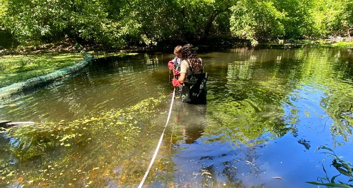 Salidas de campo a modo de relevamiento de arroyos en Montevideo y San José: ¿quién las llevó a cabo?
