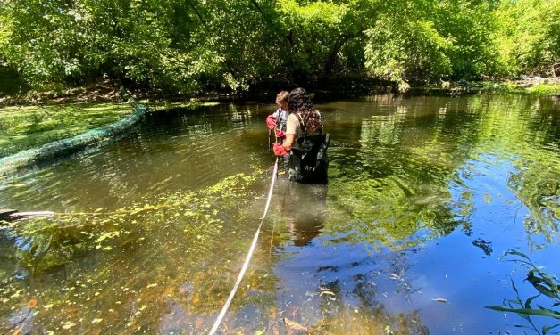 Salidas de campo a modo de relevamiento de arroyos en Montevideo y San José: ¿quién las llevó a cabo?