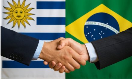 Subsecretaria Valeria Csukasi: “Hay buenas noticias” de los proyectos en común con Brasil