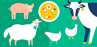 SAVE THE DATE: JORNADA REGIONAL DE BIENESTAR ANIMAL