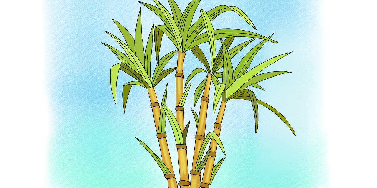 Barros (UTAA): “Vemos camionetas cargadas de compañeros trabajando por pasta base”