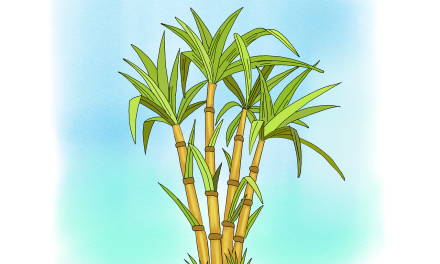 Barros (UTAA): “Vemos camionetas cargadas de compañeros trabajando por pasta base”