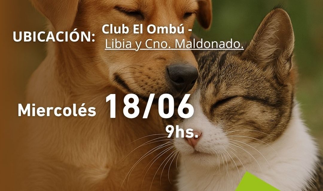 Jornada de Castraciones en Municipio F