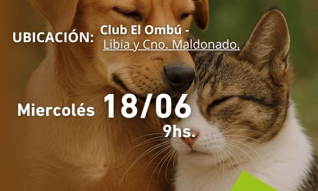 Jornada de Castraciones en Municipio F