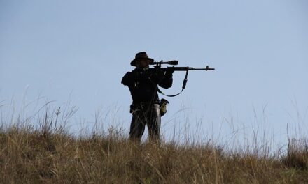 Ambiente: ¿Cuál fue el nuevo planteo en el Parlamento para la regulación de la caza?